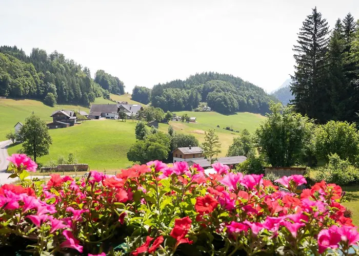 Apartment Scheibling